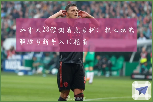 加拿大28预测看点分析：核心功能解读与新手入门指南