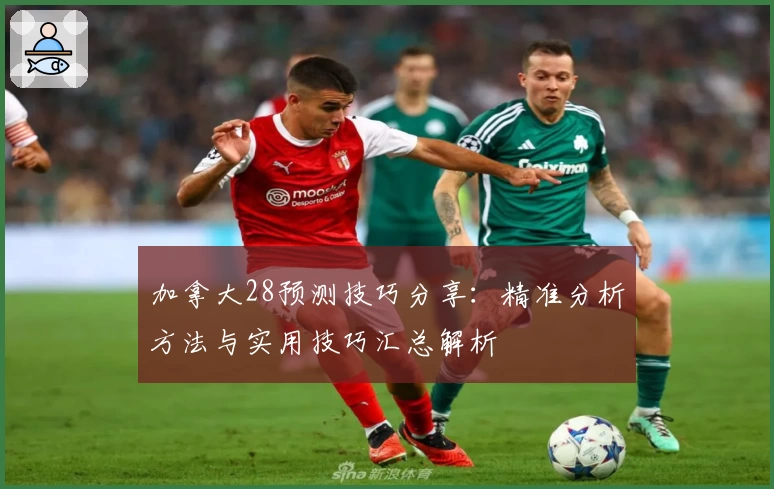 加拿大28预测技巧分享：精准分析方法与实用技巧汇总解析