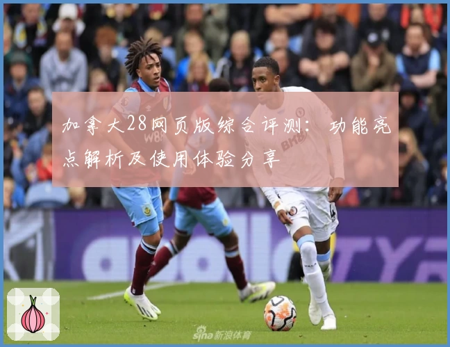 加拿大28网页版综合评测：功能亮点解析及使用体验分享