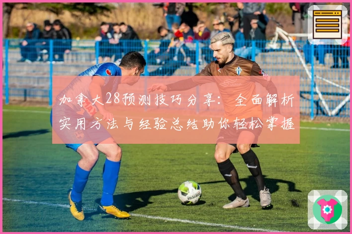 加拿大28预测技巧分享：全面解析实用方法与经验总结助你轻松掌握预测策略