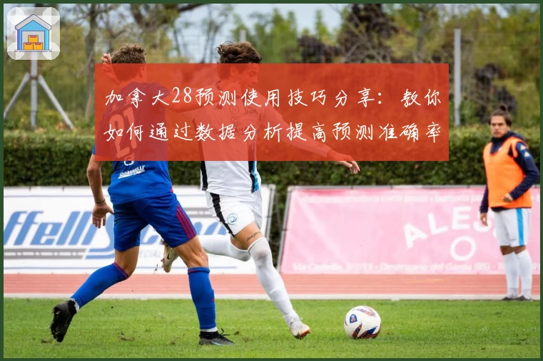 加拿大28预测使用技巧分享：教你如何通过数据分析提高预测准确率
