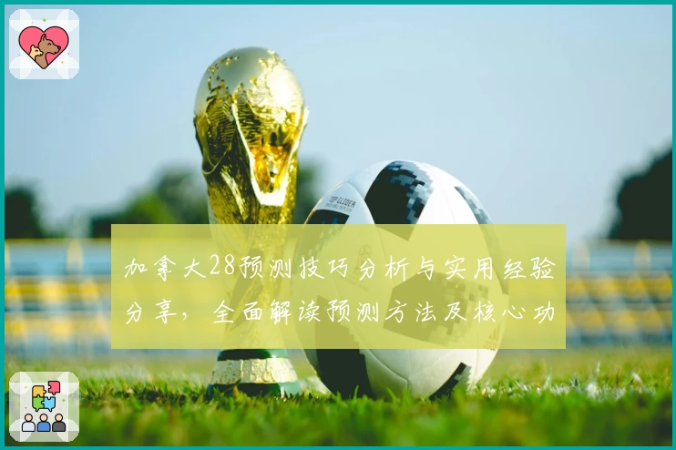 加拿大28预测技巧分析与实用经验分享,全面解读预测方法及核心功能亮点