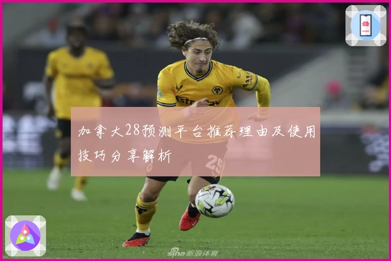 加拿大28预测平台推荐理由及使用技巧分享解析