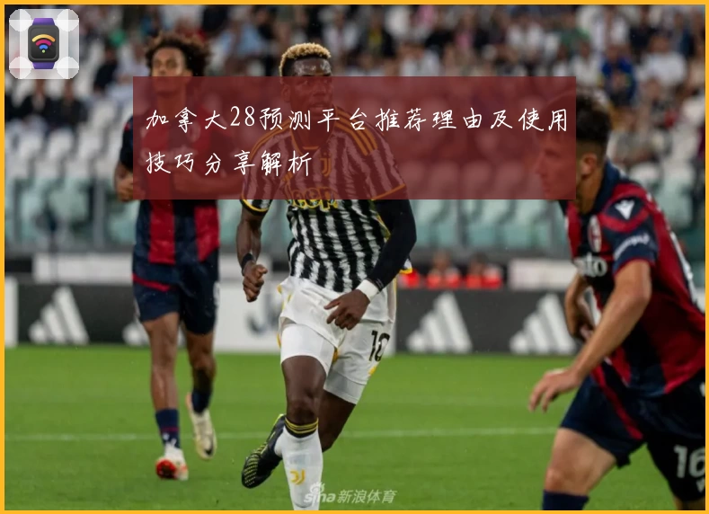 加拿大28预测平台推荐理由及使用技巧分享解析