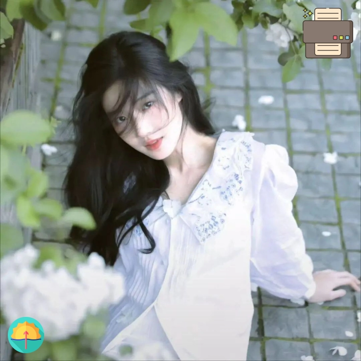 篮球键盘党（浙江省）